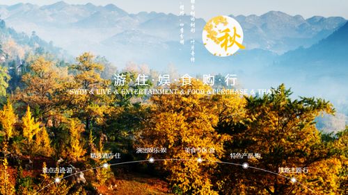 贵州盘州市妥乐古银杏旅游投资开发有限责任公司